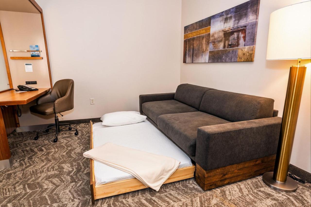 Springhill Suites By Marriott San Antonio Alamo Plaza/Convention Center מראה חיצוני תמונה
